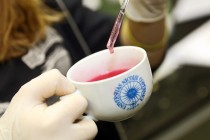 Noc Biologów (13.01.2017) [fot. Andrzej Romański]