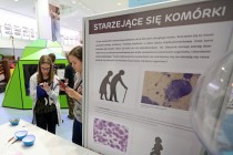Tydzień Mózgu (12-17.03.2018) [fot. Andrzej Romański]