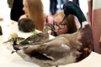 Dzień Otwarty na Wydziale Biologii i Ochrony Środowiska (28 września 2018) [fot. Andrzej Romański]