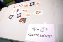 Tydzień Mózgu (11-15.03.2019) [fot. Andrzej Romański]