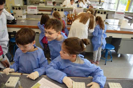 TFNiS 2024 - Chemiczny sezam [fot. Magdalena Barwiołek]