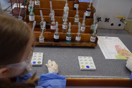 TFNiS 2024 - Chemiczny sezam [fot. Magdalena Barwiołek]