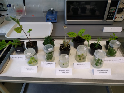 Biologia bez barier [fot. Alina Trejgell]