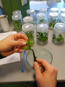 Laboratorium KFRiB [fot. Nadesłane]