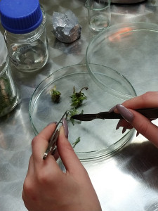 Laboratorium KFRiB [fot. Nadesłane]