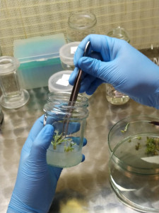 Laboratorium KFRiB [fot. Nadesłane]