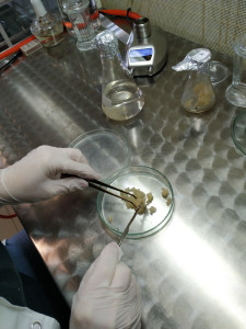 Laboratorium KFRiB [fot. Nadesłane]