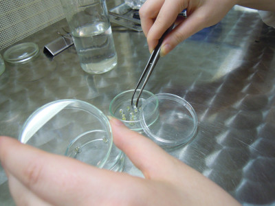 Laboratorium KFRiB [fot. Nadesłane]