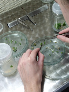 Laboratorium KFRiB [fot. Nadesłane]
