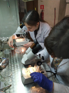 Laboratorium KFRiB [fot. Nadesłane]