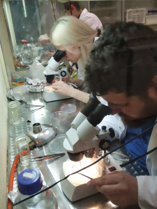 Laboratorium KFRiB [fot. Nadesłane]