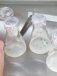 Laboratorium KFRiB [fot. Nadesłane]