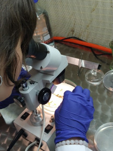 Laboratorium KFRiB [fot. Nadesłane]