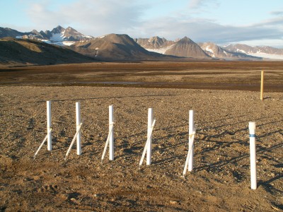 Ground temperature site Beach [fot. A. Araźny]