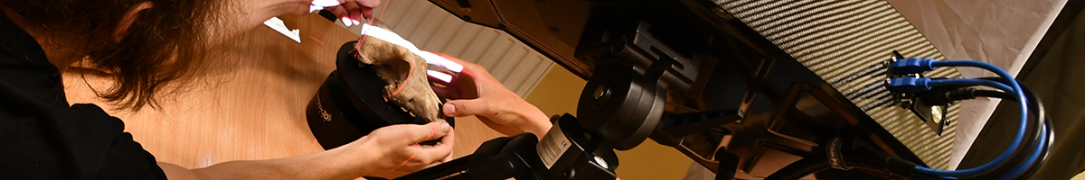 obrazek nr 7