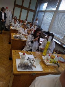 Kliknij, aby powiększyć zdjęcie.