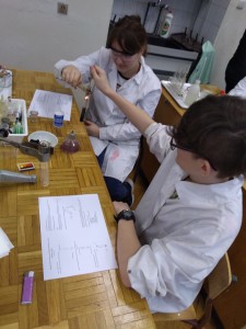 Kliknij, aby powiększyć zdjęcie.