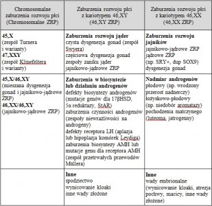 Kliknij, aby powiększyć zdjęcie.
