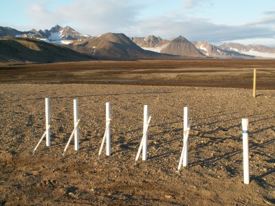 Photo 1.6. Ground temperature site Beach [fot. A. Araźny]