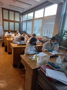  [fot. Nadesłane]