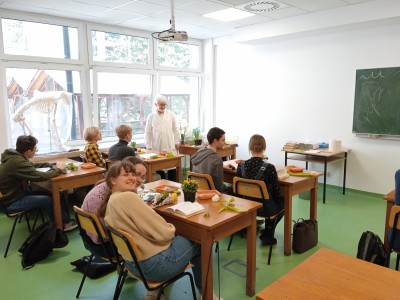 Kliknij, aby powiększyć zdjęcie.