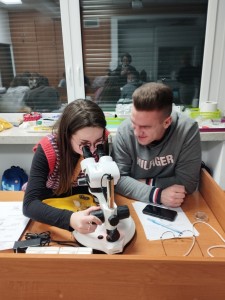 Kliknij, aby powiększyć zdjęcie.