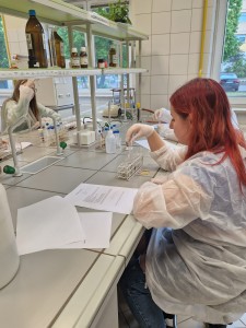Warsztaty dla licealistów . Kliknij, aby powiększyć zdjęcie.