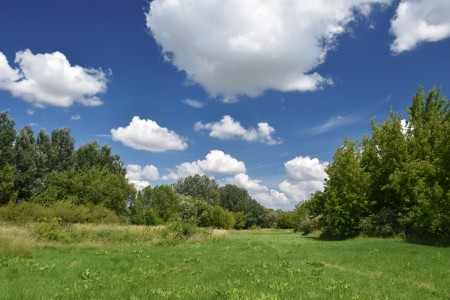 Click to zoom the picture.