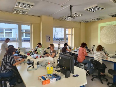 Laboratorium. Szkolenie dla diagnostów laboratoryjnych. Kliknij, aby powiększyć zdjęcie.