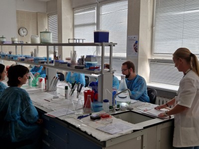 Laboratorium. Szkolenie dla diagnostów laboratoryjnych. Kliknij, aby powiększyć zdjęcie.