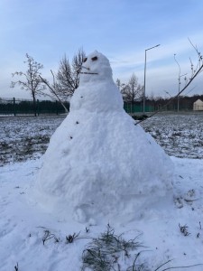 Click to zoom the picture.