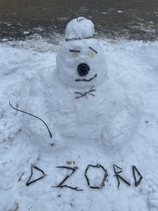 Click to zoom the picture.