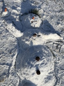 Click to zoom the picture.