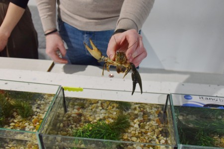 Dzień na UMK- Wydział [fot. Joanna Czarnecka]