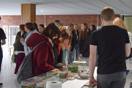 Dzień na UMK- Wydział [fot. Joanna Czarnecka]