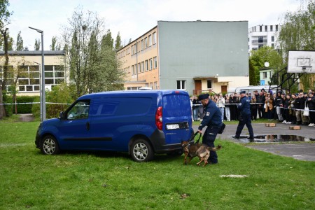 Kliknij, aby powiększyć zdjęcie.
