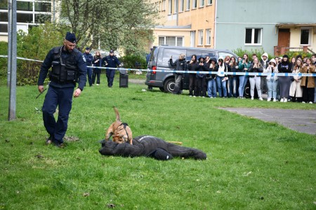 Kliknij, aby powiększyć zdjęcie.
