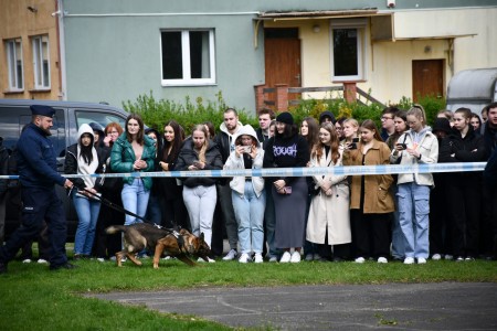 Kliknij, aby powiększyć zdjęcie.