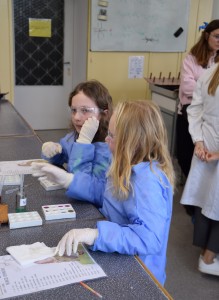 TFNiS 2024 - Chemiczny sezam [fot. Magdalena Barwiołek]