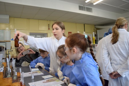 TFNiS 2024 - Chemiczny sezam [fot. Magdalena Barwiołek]
