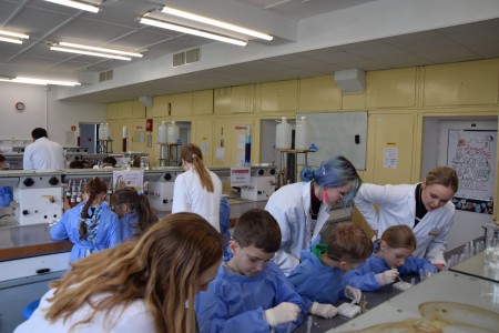TFNiS 2024 - Chemiczny sezam [fot. Magdalena Barwiołek]