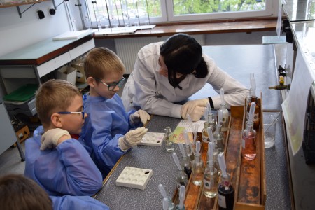 TFNiS 2024 - Chemiczny sezam [fot. Magdalena Barwiołek]