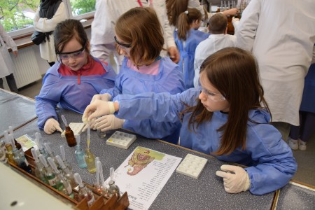 TFNiS 2024 - Chemiczny sezam [fot. Magdalena Barwiołek]