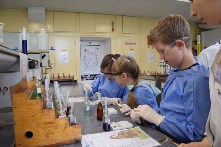 TFNiS 2024 - Chemiczny sezam [fot. Magdalena Barwiołek]