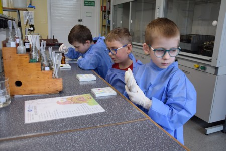 TFNiS 2024 - Chemiczny sezam [fot. Magdalena Barwiołek]