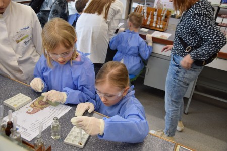 TFNiS 2024 - Chemiczny sezam [fot. Magdalena Barwiołek]