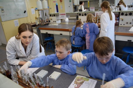 TFNiS 2024 - Chemiczny sezam [fot. Magdalena Barwiołek]
