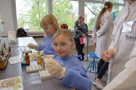 TFNiS 2024 - Chemiczny sezam [fot. Magdalena Barwiołek]