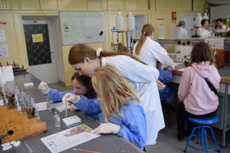 TFNiS 2024 - Chemiczny sezam [fot. Magdalena Barwiołek]