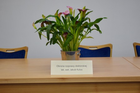 Kliknij, aby powiększyć zdjęcie.